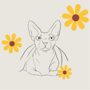 Fleurs